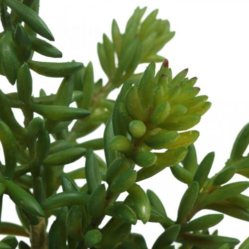 Floristik24 Planta verde artificial suculenta para colar 25cm verde 2pcs