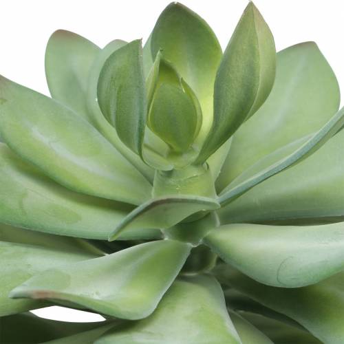 Floristik24 Planta suculenta decorativa verde artificial Ø30cm Alt.27cm