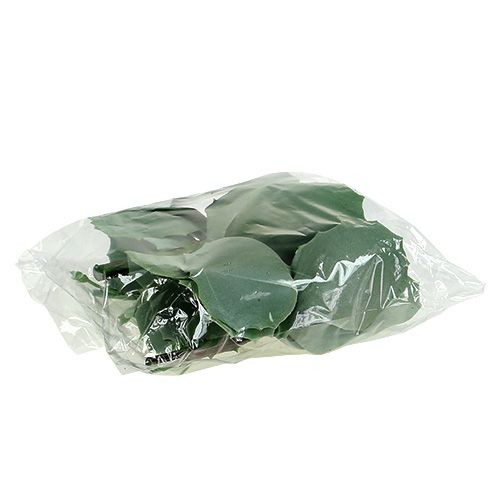 Floristik24 Colheita de pedra suculenta L18cm 4pçs