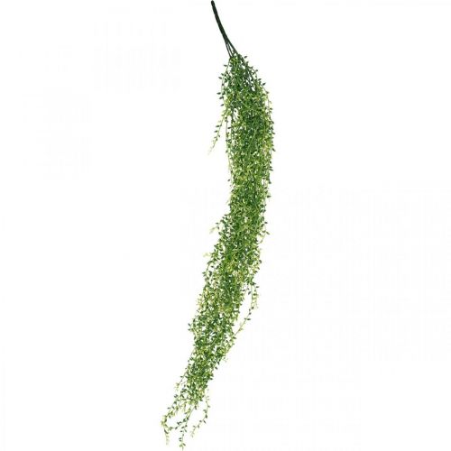 Floristik24 Suculenta planta suspensa artificial verde 96cm
