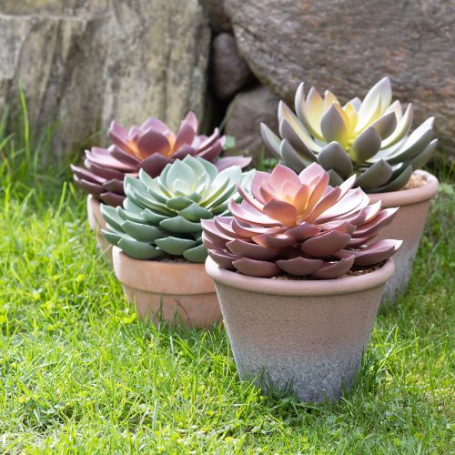 Itens Planta suculenta em vaso Echeveria artificial vermelho vintage Ø15cm Alt.16cm