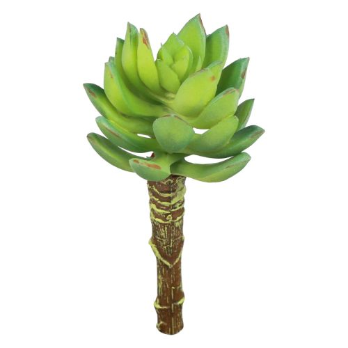 Suculenta Echeveria Planta Verde Artificial Verde Ø5,5cm 12,5cm