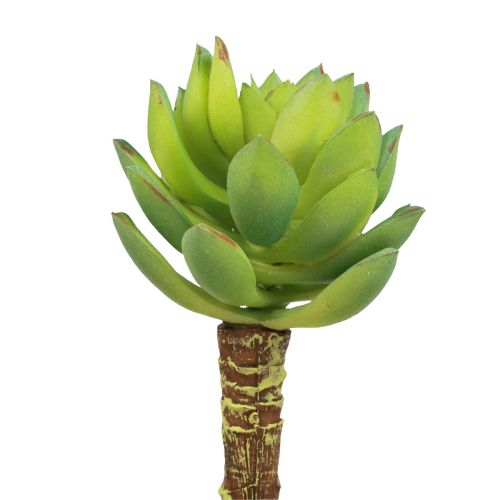 Suculenta Echeveria Planta Verde Artificial Verde Ø5,5cm 12,5cm