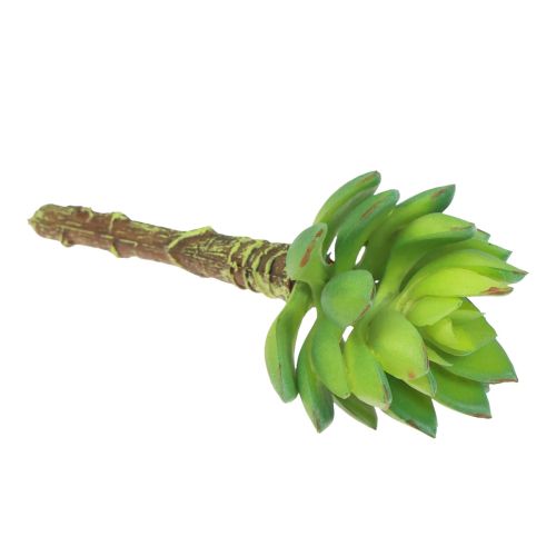 Itens Suculenta Echeveria Planta Verde Artificial Verde Ø5,5cm 12,5cm
