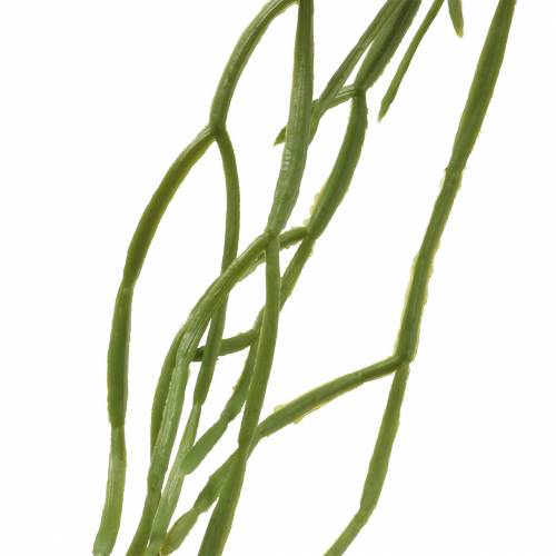 Floristik24 Suculenta suspensa artificial verde 110cm
