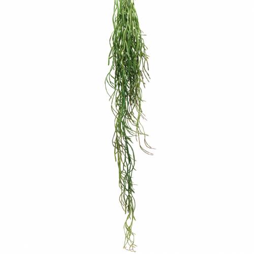 Floristik24 Suculenta suspensa artificial verde 110cm
