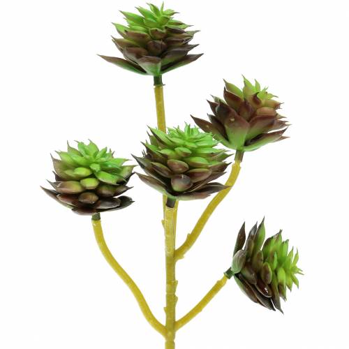 Itens Picareta suculenta verde / marrom 35,5 cm
