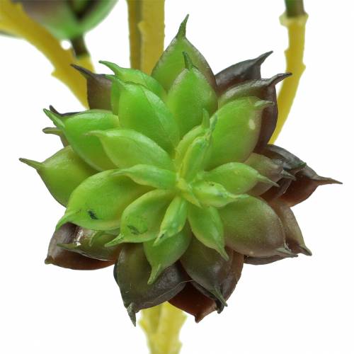 Itens Picareta suculenta verde / marrom 35,5 cm