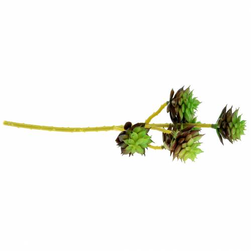 Itens Picareta suculenta verde / marrom 35,5 cm