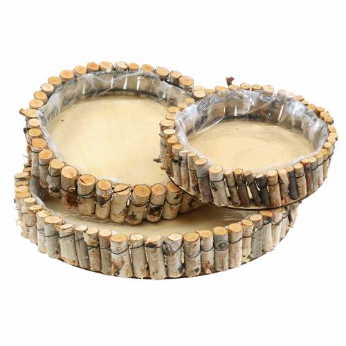 Floristik24 Bandeja redonda para plantação de bétula natural Ø23/31/41cm conjunto de 3