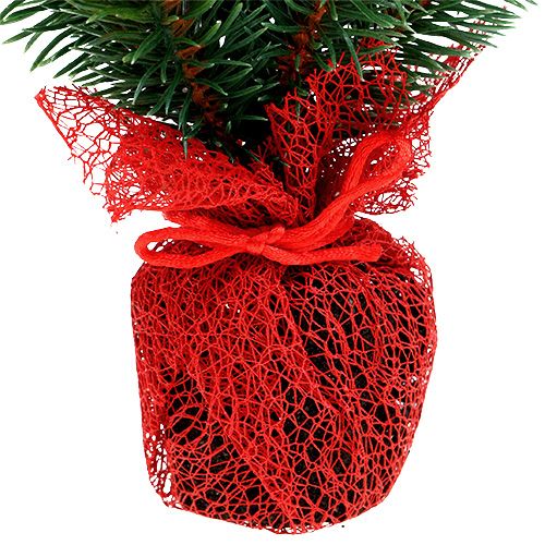 Floristik24 Abeto 32cm com cones e saco vermelho