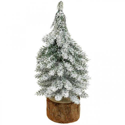 Floristik24 Árvore de Natal decorativa, decoração de inverno, abeto com neve Alt.19cm