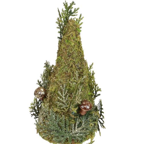 Floristik24 Abeto decoração árvore musgo cones cogumelos ouro verde Alt.35cm