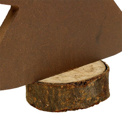 Floristik24 Abeto branco, marrom feito de madeira 21 cm 4 unidades