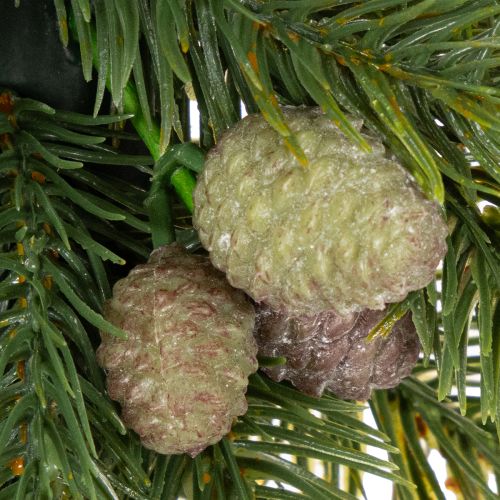 Guirlanda artificial de ramos de pinheiro com pinhas para porta ou mesa, 30 cm | Floristik24.pt