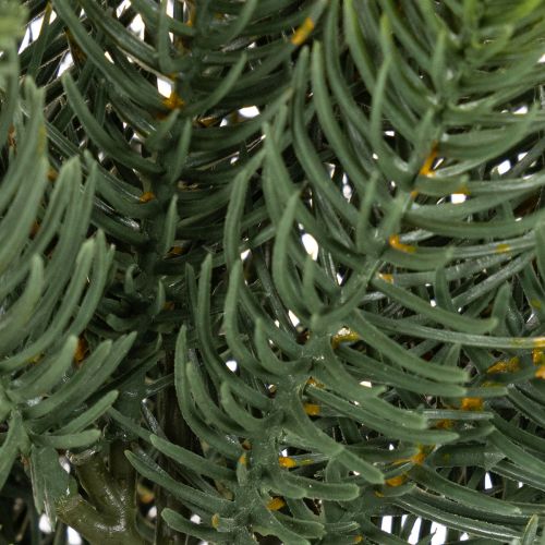 Ramo de pinheiro artificial, decoração festiva para janela, 50 cm, 3 peças | Floristik24.pt