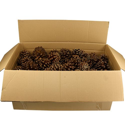 Floristik24 Mistura de pinhas grande 14kg