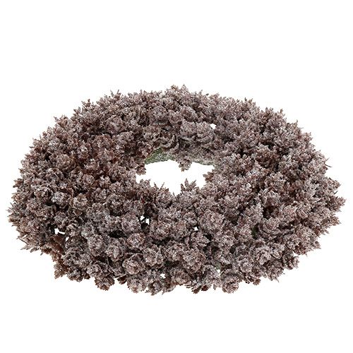 Floristik24 Grinalda de pinha Ø25cm com glitter