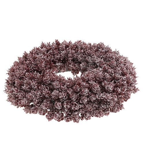 Floristik24 Coroa de pinha Ø25cm Borgonha gelado