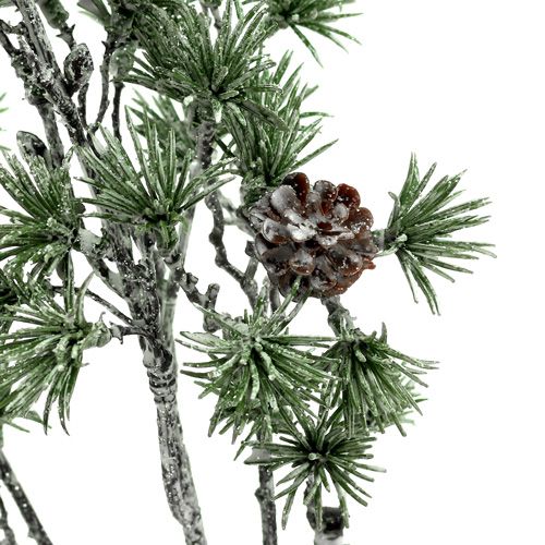 Floristik24 Ramo de abeto caiado de verde 46 cm