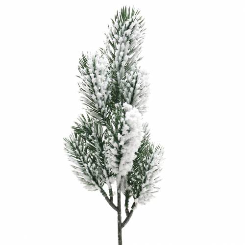 Floristik24 Ramo de abeto verde coberto de neve 39 cm 8 unidades