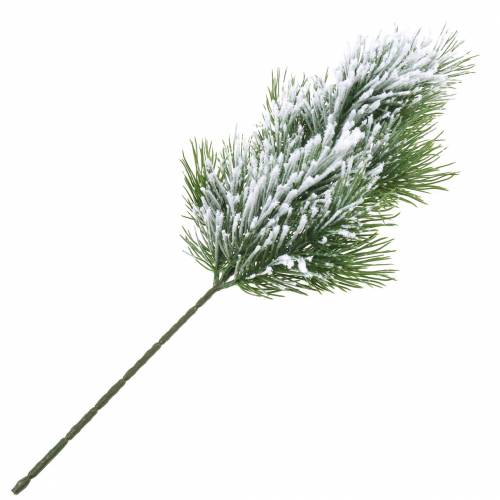 Floristik24 Ramo de pinho verde coberto de neve 50 cm