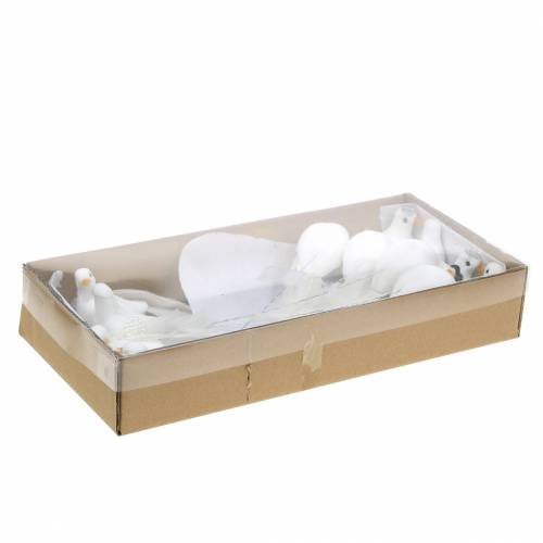 Floristik24 Par de pombos em fio branco 4-4,5 cm 6 pares