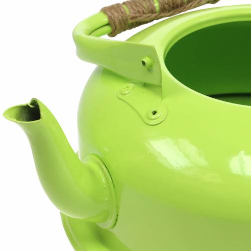 Floristik24 Plantador Chaleira Zinco Maio Verde Ø26cm A15cm