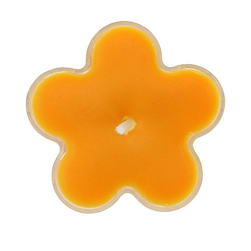 Floristik24 Tealight como uma flor com perfume 4.5x2cm 6pcs