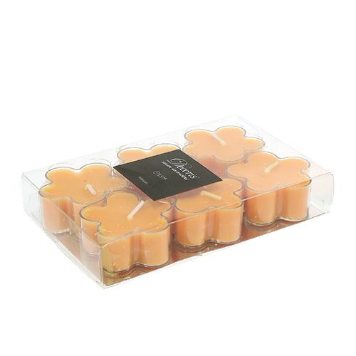Floristik24 Tealight como uma flor com perfume 4.5x2cm 6pcs