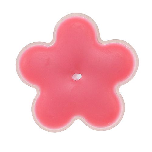 Floristik24 Flor Tealight com perfume Ø4,5cm x 2cm 6pcs