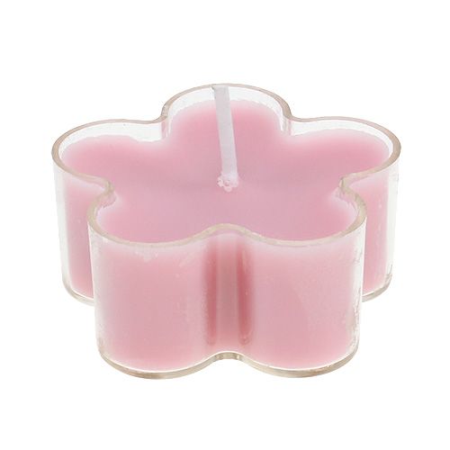 Floristik24 Tealight com flor perfumada 4,5x2cm 6pcs