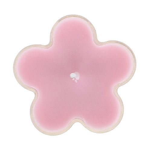 Floristik24 Tealight com flor perfumada 4,5x2cm 6pcs