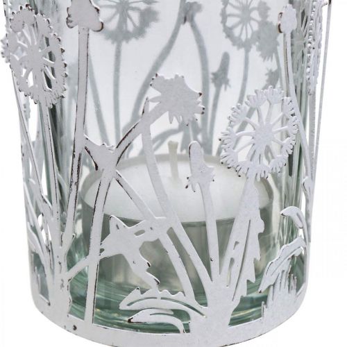 Floristik24 Lanterna com dentes de leão, enfeites de mesa, decoração de verão shabby chic silver, branco H10cm Ø8,5cm