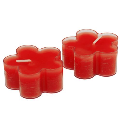 Floristik24 Blossom Light Ruby 12 unidades