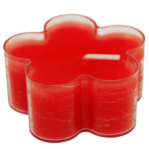 Floristik24 Blossom Light Ruby 12 unidades