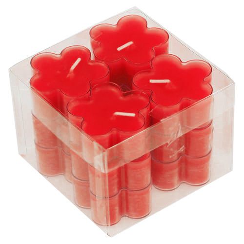 Floristik24 Blossom Light Ruby 12 unidades