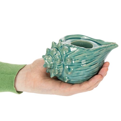 Itens Porta-velas decorativo em formato de concha para mesa, banheiro ou sala de estar, 16 cm