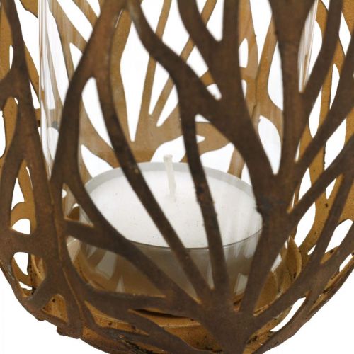 Floristik24 Lanterna com aparência de ferrugem, suporte de vela retrô Ø13cm H30cm