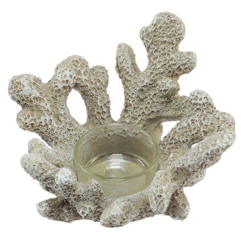 Porta-velas decoração coral cinza marítimo Ø12cm Alt.8cm