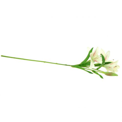 Floristik24 Creme Lírio Tigre 60cm
