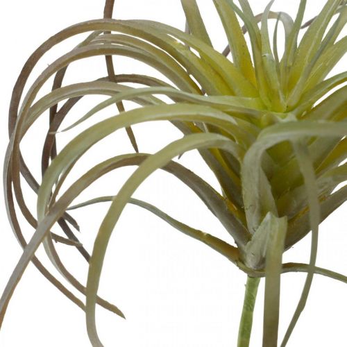 Floristik24 Tillandsia artificial para colar planta artificial verde-púrpura 13cm