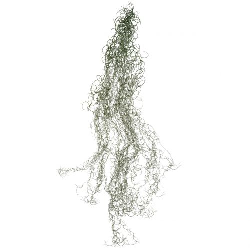 Floristik24 Tillandsia cinza artificial 130cm