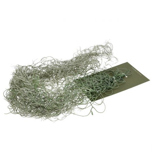 Floristik24 Tillandsia cinza artificial 130cm