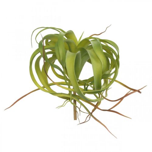 Floristik24 Tillandsia artificial para colar planta artificial verde claro 30cm