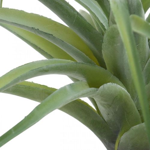 Floristik24 Planta artificial artificial Deco Tillandsia para colar verde Ø45cm