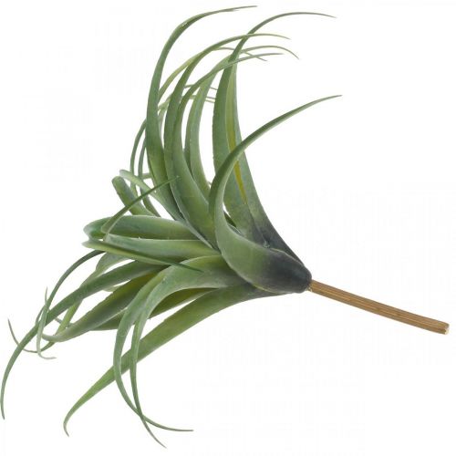 Floristik24 Planta artificial artificial Deco Tillandsia para colar verde Ø45cm