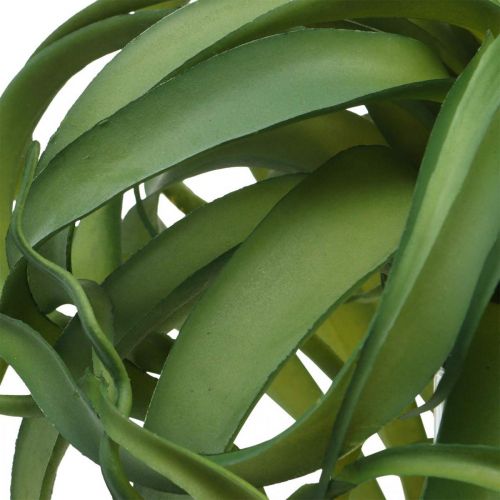 Itens Tillandsia Planta verde artificial para colar Verde Grande Ø40cm