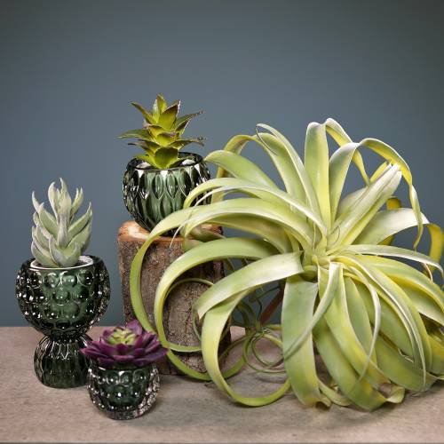 Floristik24 Tillandsia artificial para colar planta artificial verde claro 30cm