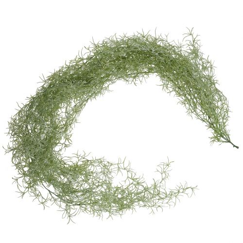 Floristik24 Tillandsia hanger green 160cm